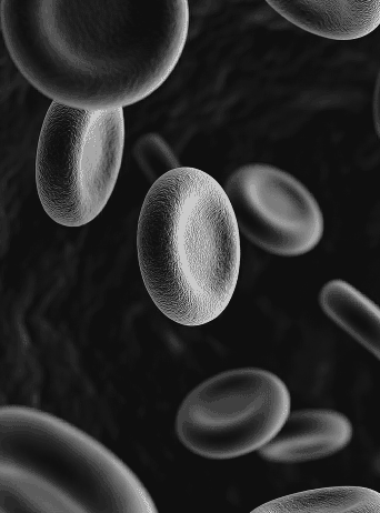 Multi-Omics Integration