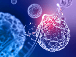 Metabolic Health