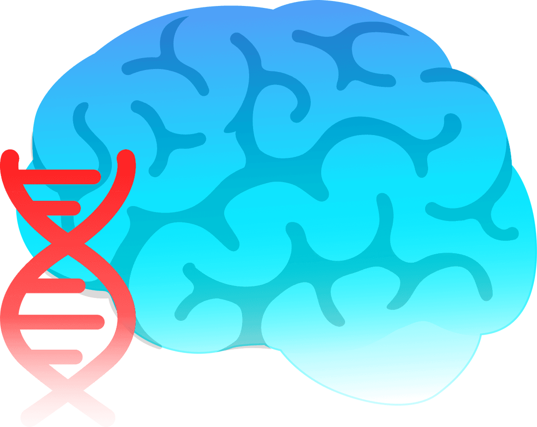 brain