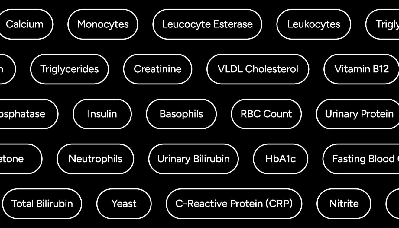 100+ Blood & Urine Biomarkers