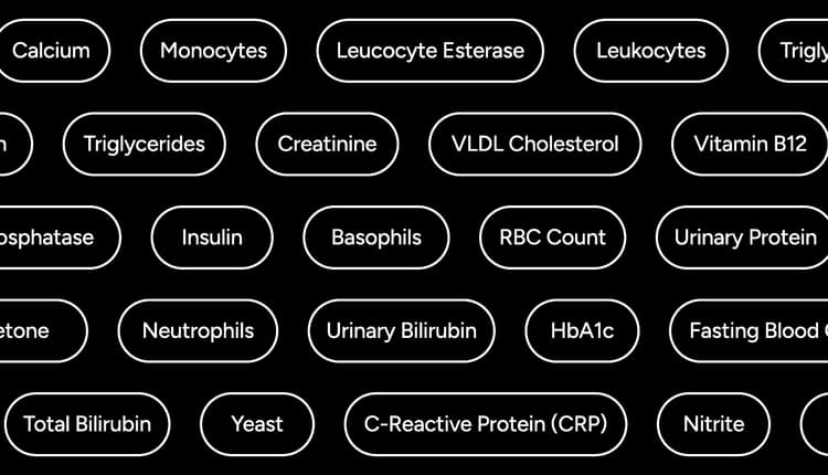 100+ Blood & Urine Biomarkers